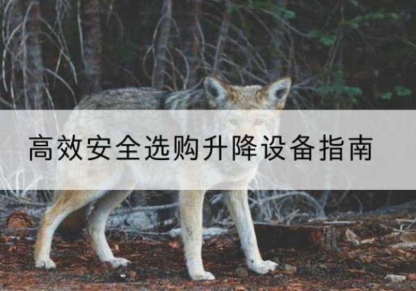 水城升降货梯厂家推荐-*安全选购升降设备指南