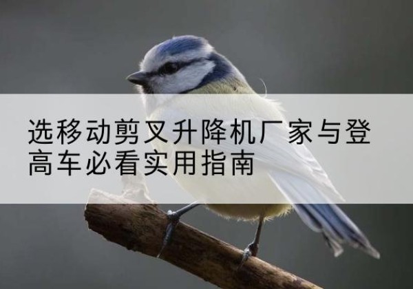 水城电动升降机厂家-选移动剪叉升降机厂家与登高车必看实用指南